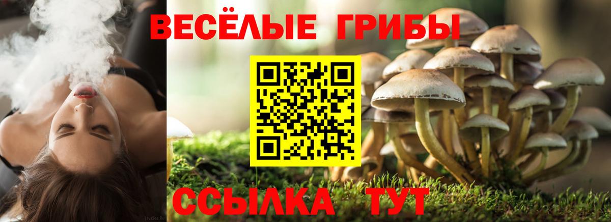 Псилоцибиновые грибы мицелий  дарнет шоп  Киржач  Вход с VPN 